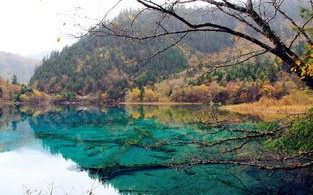 黄龙天气预报查询15天-黄龙天气预报15天景区