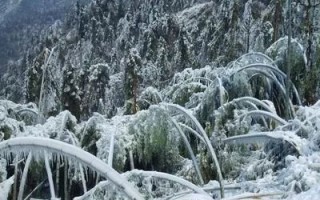 阿勒泰天气预报15天-乌鲁木齐天气预报15天