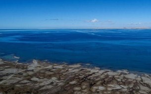 柳河天气预报15天最新消息查询-柳河天气预报15天