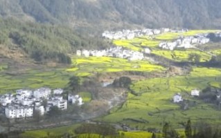 江西婺源天气预报7天准确一览表图片-江西婺源天气预报7天