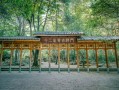 文成天气-文成天气预报