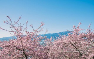 河津天气情况-河津天气预报30天查询