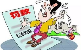 外地车牌不小心进入限行区域上海-外地车牌不小心进入限行区域