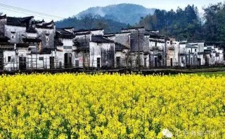 江西婺源天气预报15天查询风景区-江西婺源天气预报15天查询