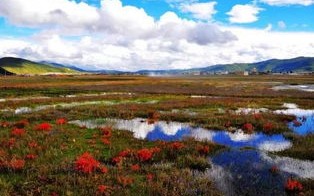 香格里拉天气预报一周7天查询结果-香格里拉天气预报一周
