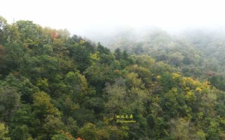 留坝天气预报-留坝天气预报30天查询