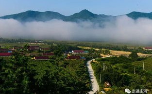庄河天气预报15天查询-庄河天气预报15天查询结果表