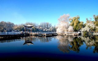酒泉天气预报15天查询天-酒泉天气预报15天查询