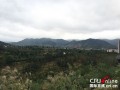 寻乌天气预报一周 7天-寻乌天气预报一周