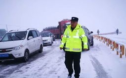 资阳天气预报15天-资阳天气预报15天查询结果