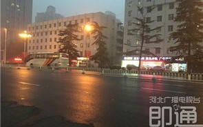 去石家庄最新规定-去石家庄最新规定要求