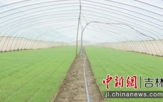 伊宁市天气预报15天准-伊宁市天气预报15天