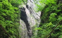 商南天气预报15天查询结果-商南天气预报15天