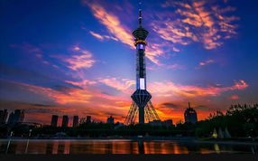 最新石家庄限号查询-最新石家庄限号查询2023年5月