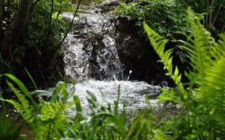 岚皋天气预报15天查-岚皋天气预报15天