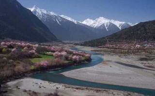 林芝天气预报30天查询结果是什么-林芝天气预报30天
