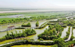 渭南市限号查询今天外地限号吗-渭南市限号查询今天