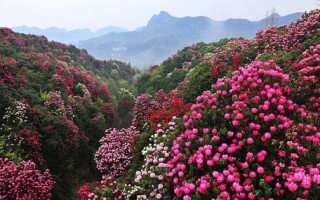 毕节天气预报一周天气-毕节天气预报一周15天