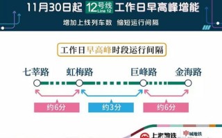 重庆桥隧限行时间和范围-重庆桥隧限行时间和范围表