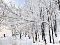 扶沟县天气预报-扶沟县天气预报30天准确