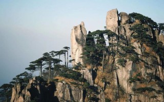 黄山山上实时天气-黄山山天气15天预报