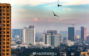 成都天气9月份天气预报-成都天气9月份天气预报查询