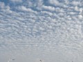 扬州天气预报查询-扬州天气预报查询一周15天气预报