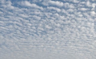 扬州天气预报查询-扬州天气预报查询一周15天气预报
