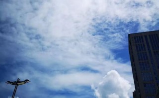 邹平天气预报七天-邹平天气预报15天预报
