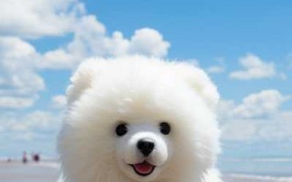 汝城天气预报15天一个月-汝城天气预报15天