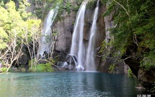 屏南天气预报15天查询结果-屏南天气预报15天查询