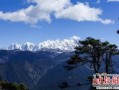 林芝天气预报一周15天查询结果-林芝天气预报一周