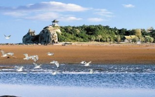 南戴河天气预报七天-南戴河天气预报七天查询