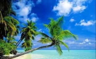 海南未来15天天气预报-海口未来15天天气预报