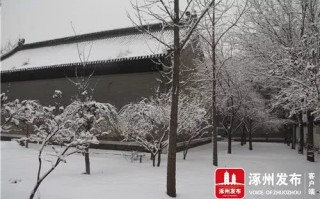 涿州天气预报30天查询-涿州天气预报15天查询结果