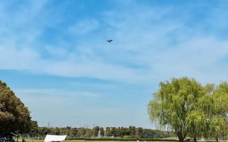 聊城未来十五天天气预报-聊城市未来十天天气预报