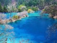 九寨沟天气预报15天准确-九寨沟天气预报30天准确率