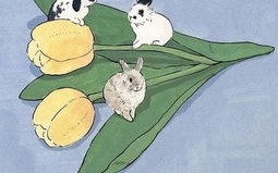 北京今日限号限行车尾号是多少-今日限号限行车尾号是多少