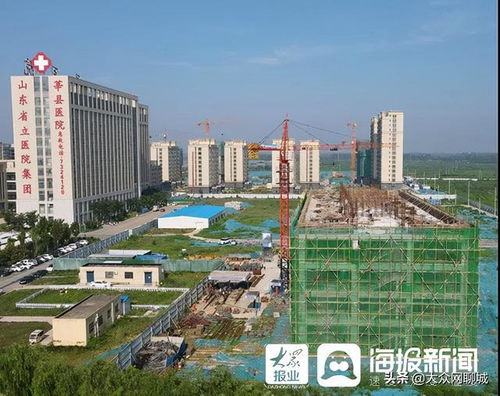 聊城一周天气预报查询-聊城一周天气预报-第1张图片-雾华天气