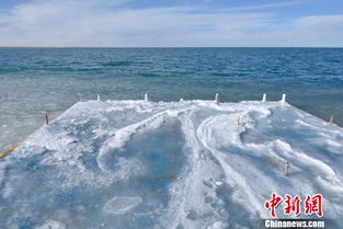 青海湖天气预报7天15天天气预报-青海湖天气预报一周天气-第3张图片-雾华天气