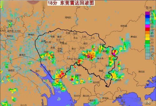 东莞天气预报7天准确-东莞天气预报7天准确吗-第1张图片-雾华天气
