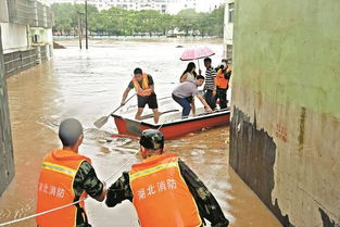 广水天气预报15天查询-广水天气预报15天气报-第3张图片-雾华天气