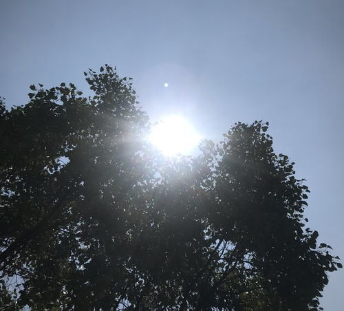 丽水天气预报7天查询 15天-丽水天气预报7天-第2张图片-雾华天气