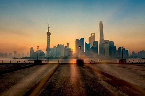 上海明日天气预报-上海明日天气-第1张图片-雾华天气