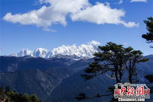 林芝天气预报一周15天查询结果-林芝天气预报一周-第1张图片-雾华天气