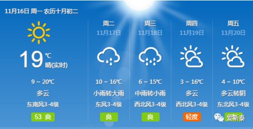 松江天气预报24小时详情查询表-松江天气预报24小时-第1张图片-雾华天气