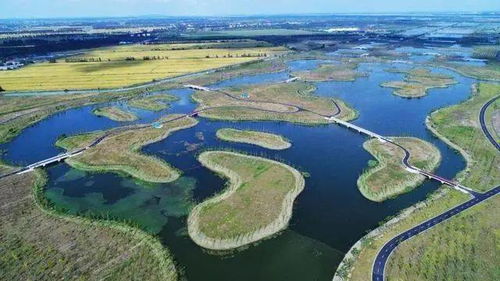 崇明天气预报15天查询上海天气预报视频她是谁-崇明天气预报15天查询-第3张图片-雾华天气