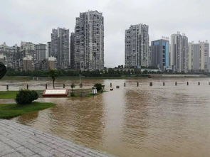 湘乡未来十五天天气预报-湘乡市未来十五天天气预报-第3张图片-雾华天气