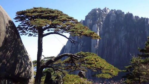 安徽黄山天气预报30天-安徽黄山天气预报30天景区-第3张图片-雾华天气