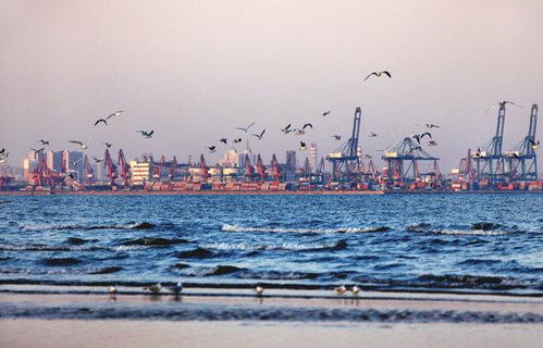 秦皇岛限行最新通知-秦皇岛限行最新通知2021年7月限行-第1张图片-雾华天气